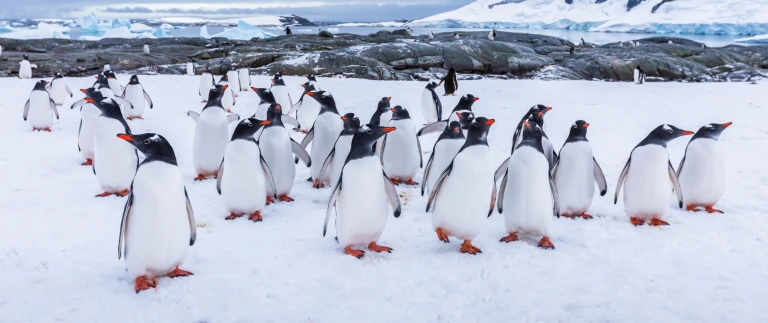 Semi circumnavigation antarktis halbumrundung pionierkurs durch die weisse wuesteshutterstock 1416843179 scaled aspect ratio 1500 630 5 scaled