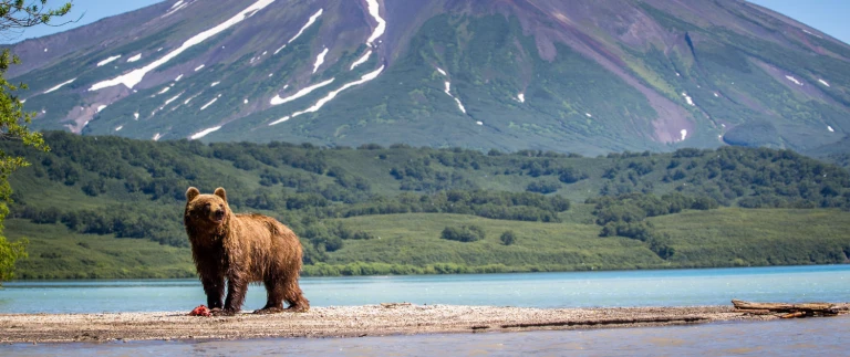 Silversea abenteuer alaska nordgehendshutterstock 724944952 1500x630