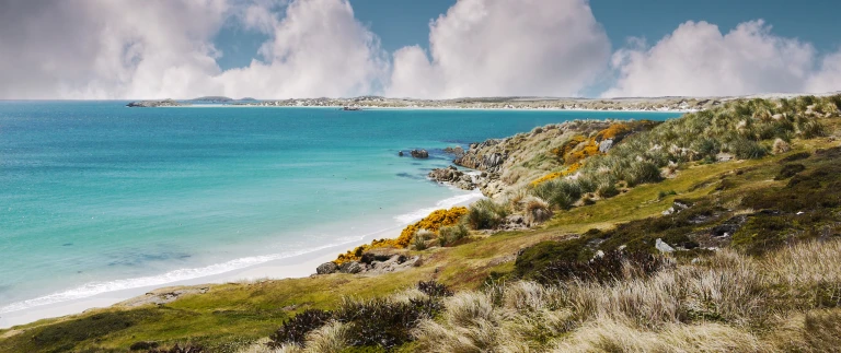 Silversea antarktis king goerge island suedgeorgien falklandinselnfalkland shutterstock 705652762 scaled aspect ratio 1500 630 2 scaled