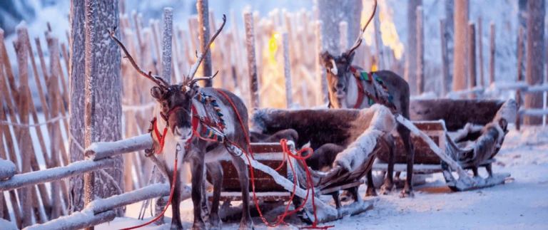 Skandinavischer zauber und weihnachtsmaerkterentierschlittenfahrt lappland 1 aspect ratio 1500 630