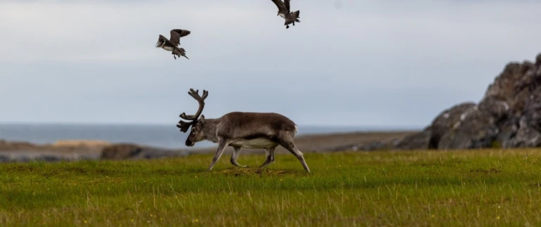 Spitzbergen express suedostsvalbard11 reisebericht spitzbergen world voyager iii aspect ratio 1500 630