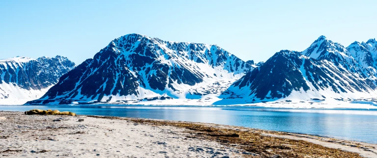 Spitzbergen fotografie im reich des eisbaerenspitzbergen fjordlandschaft shutterstock aspect ratio 1500 630