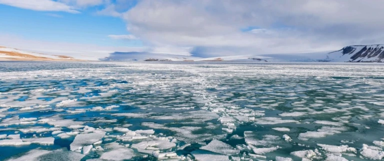 Spitzbergen umrundung und kvitoya arktis expedition intensiv eisbaeren safaripalanderbukta nordostland spitzbergen aspect ratio 1500 630 1