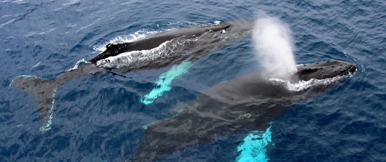 Von kap zu kapshutterstock 500174725 scaled aspect ratio 1500 630 4 scaled