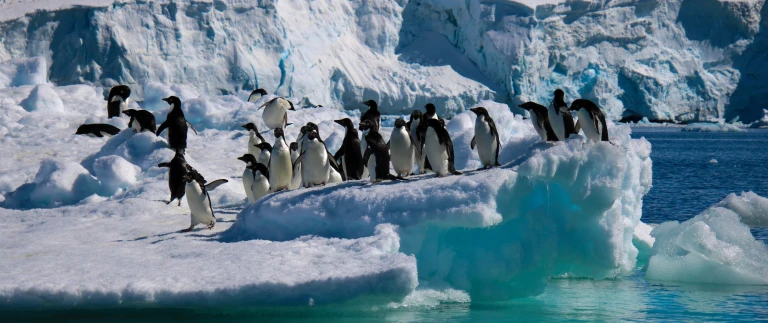 Weihnachtswunder fuer wahre entdecker grosse expeditionsroute intensiv extra fuer einzelreisendeshutterstock 1707254251 scaled aspect ratio 1500 630 3 scaled