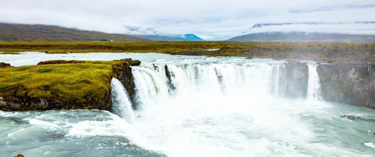 Wildtiere islands und schottlands0k1a7609 aspect ratio 1500 630