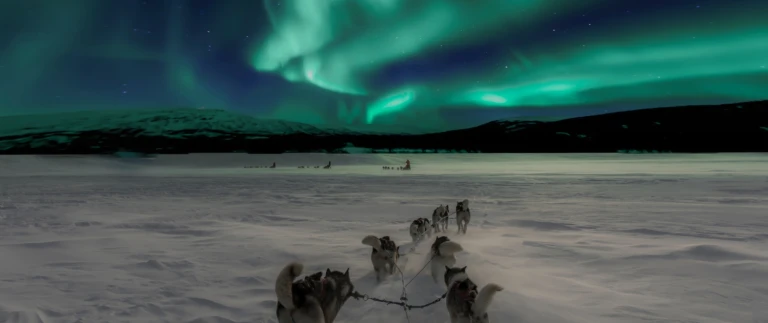 Expeditionsreisen nordlichtthomas lipke oiudxlojsie unsplash 1500x630