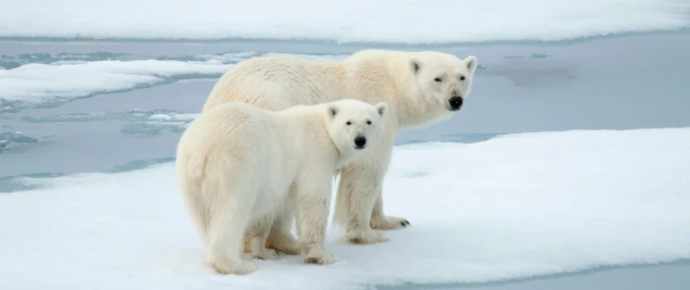 Franz josef land10 1500x630 1500x630