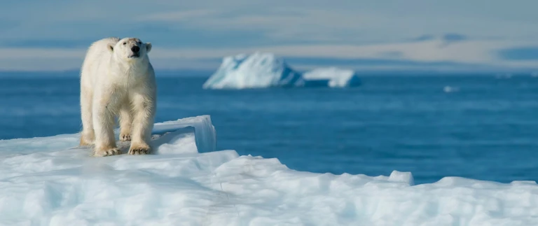 Franz josef land6 1500x630 1500x630