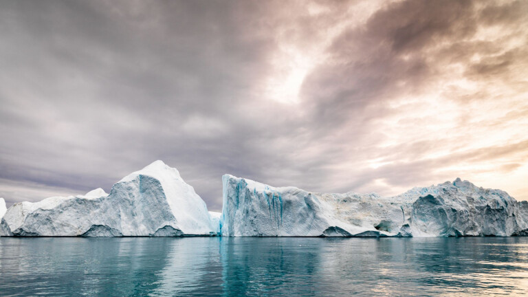 Eisberge im Eisfjord