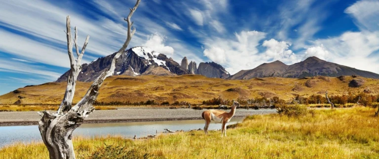 Suedamerika kulturelle schaetze und fesselnde landschaftentorres del paine al paka 1500x630