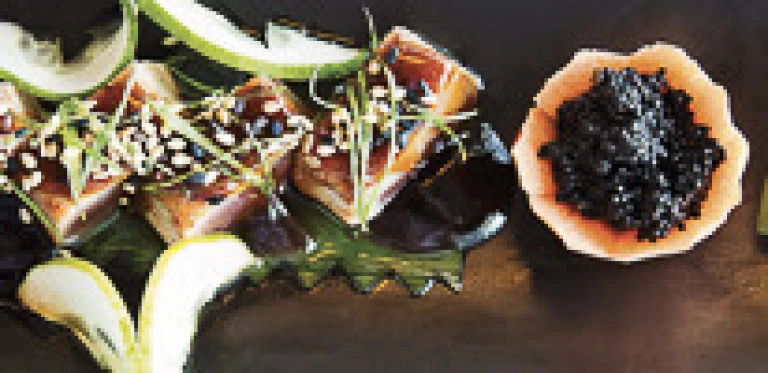 Europa 2europa 2 food sakura 02 300dpi 560x100 aspect ratio 295 143