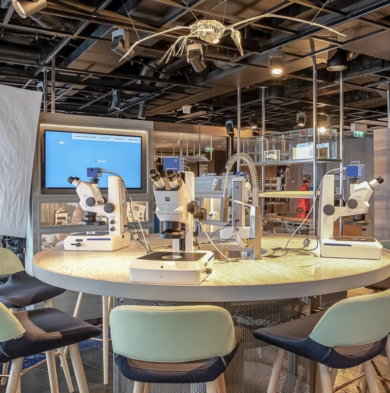 Ms fridtjof nansenscience center ms roald amundsen hgr 141966 1920 foto andrea klaussner 800x800 aspect ratio 447 450