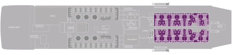 Ms hondiushondius deck04