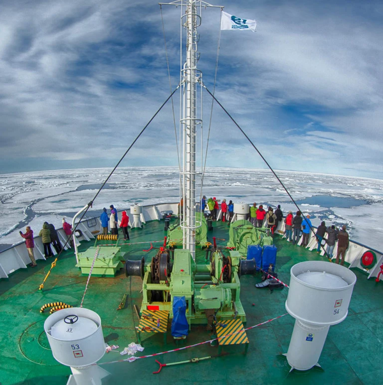 Ms orteliusortelius in pack ice spitsbergen arjen drost 800x800 aspect ratio 447 450