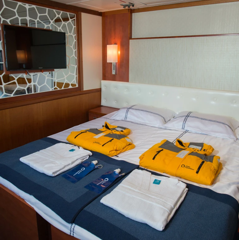 Ocean adventurerquark expeditions ocean adventurer suite cabin 403 8282 scaled aspect ratio 447 450 scaled