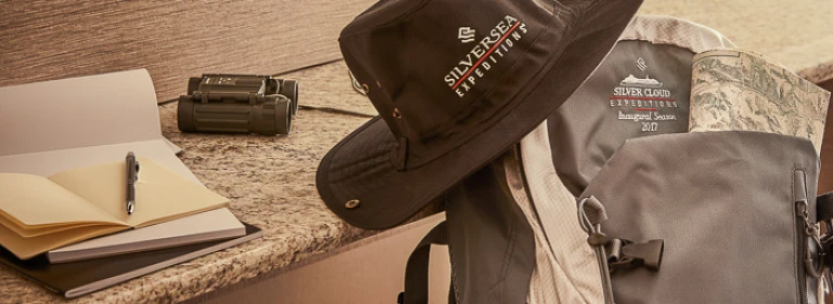 Silver cloudss8085 787x258 aspect ratio 600 220