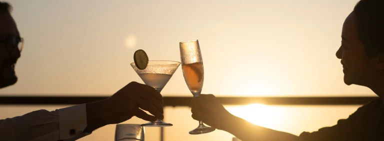 Silver endeavourap0i9774 aspect ratio 600 220