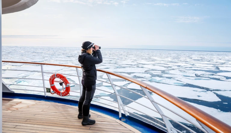 Silver endeavourdsf2268 aspect ratio 447 258