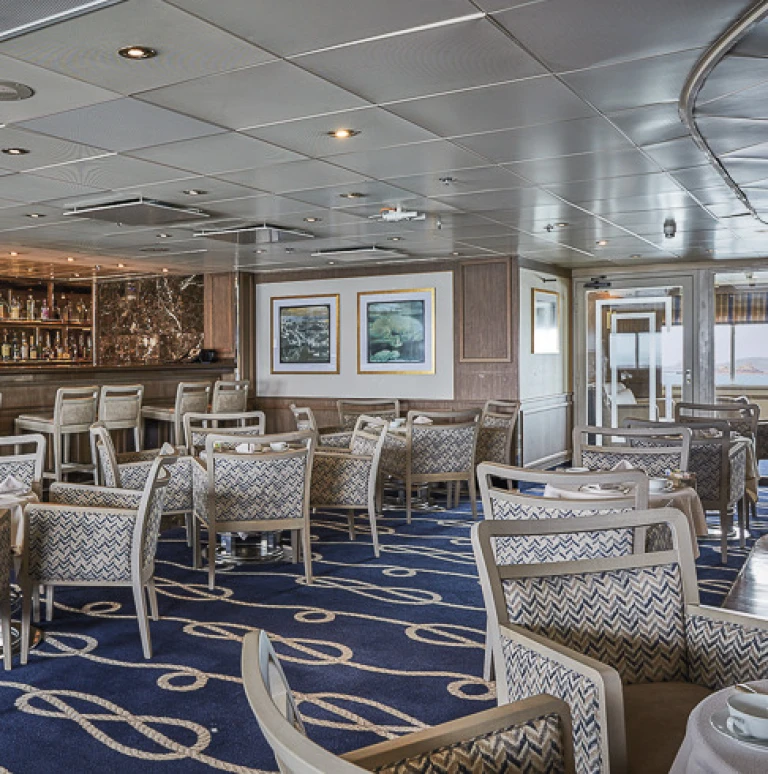 Silver explorerex6876 560x490 aspect ratio 447 450