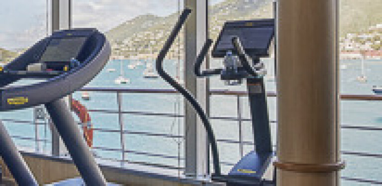 Silver windss8864 560x100 aspect ratio 295 143