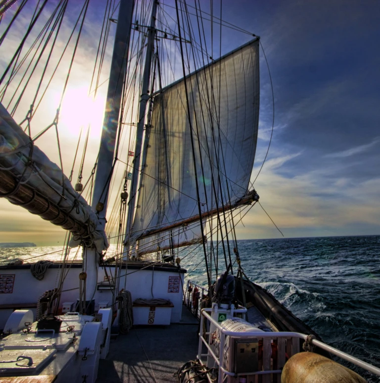 Sv rembrandt van rijnrembrandt van rijn in heavy water georges samaha 560x490 scaled aspect ratio 447 450 scaled