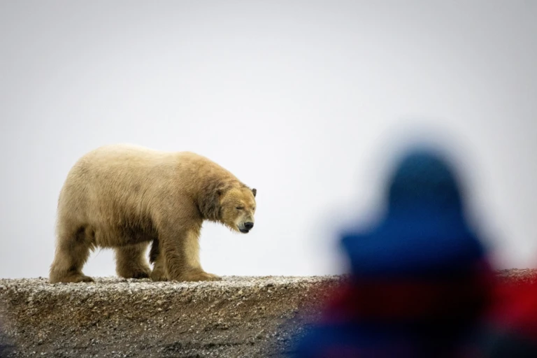 Svalbard nlk nachschub 009 min