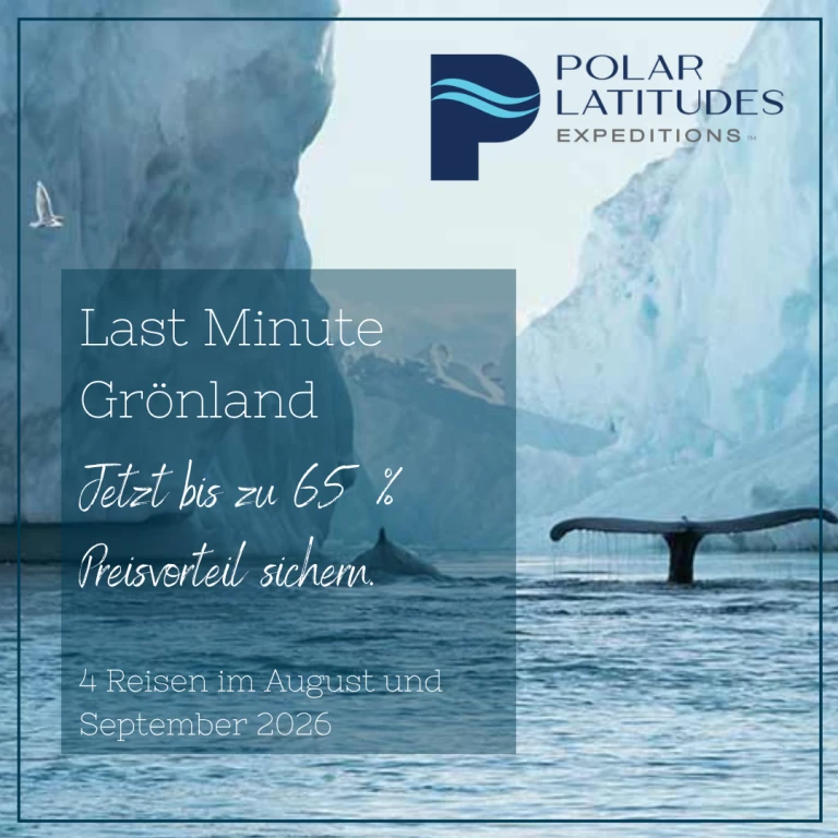 Polar Latitudes Expeditions Last Minute 65 %