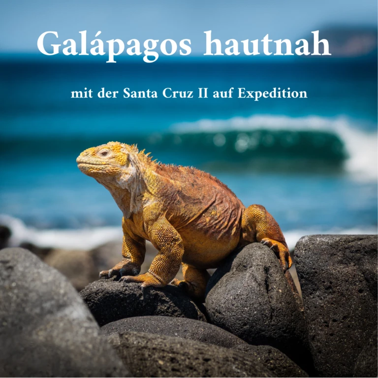 Vortrag galapagos