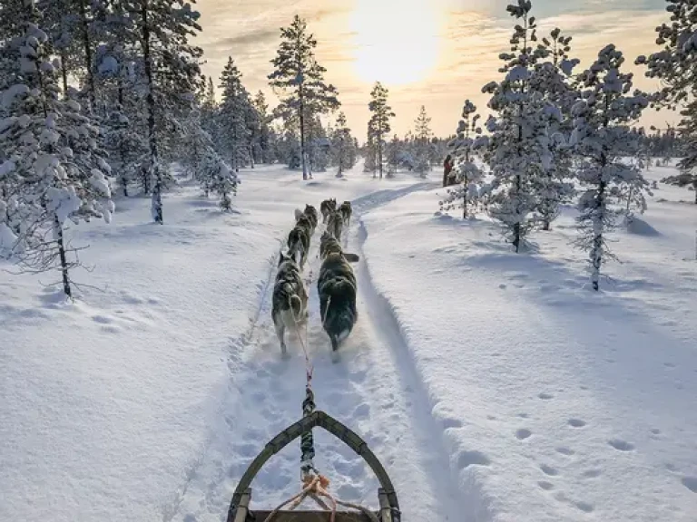 Nat2701 06 1.3a2915b0