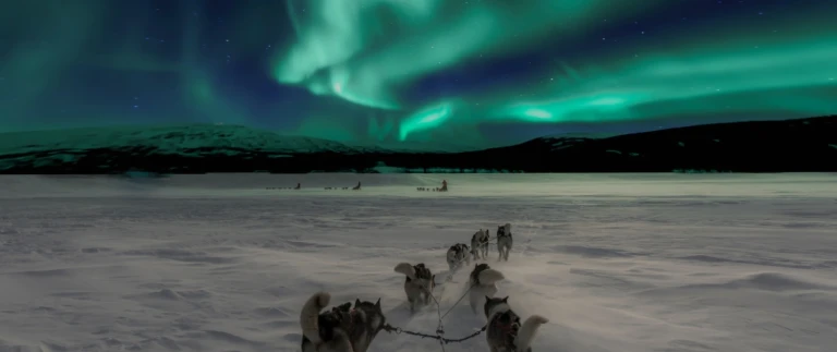 Thomas lipke oiudxlojsie unsplash scaled aspect ratio 1500 630 scaled