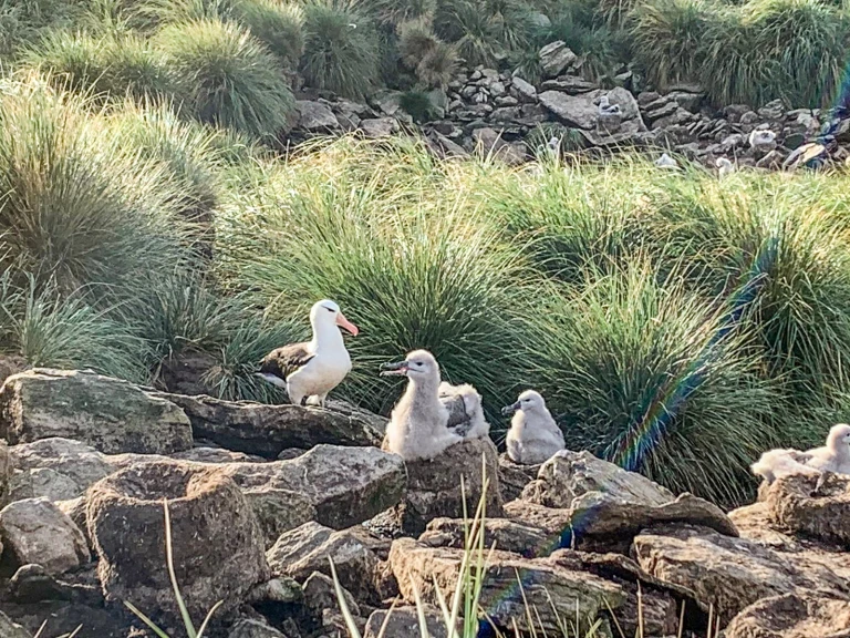 213b92c0 f626 4733 9bbd 9d201f46dbe1