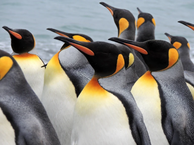 Georgia 2608019 1920