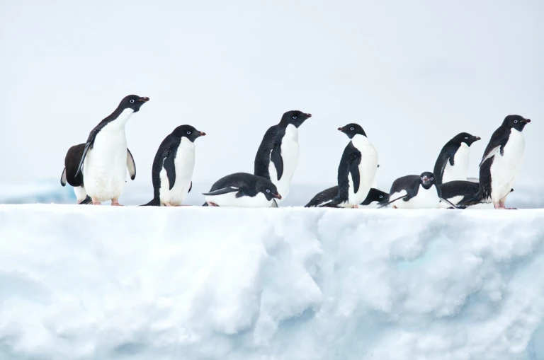 Marvin heilemann bnnbmldx2he unsplash scaled