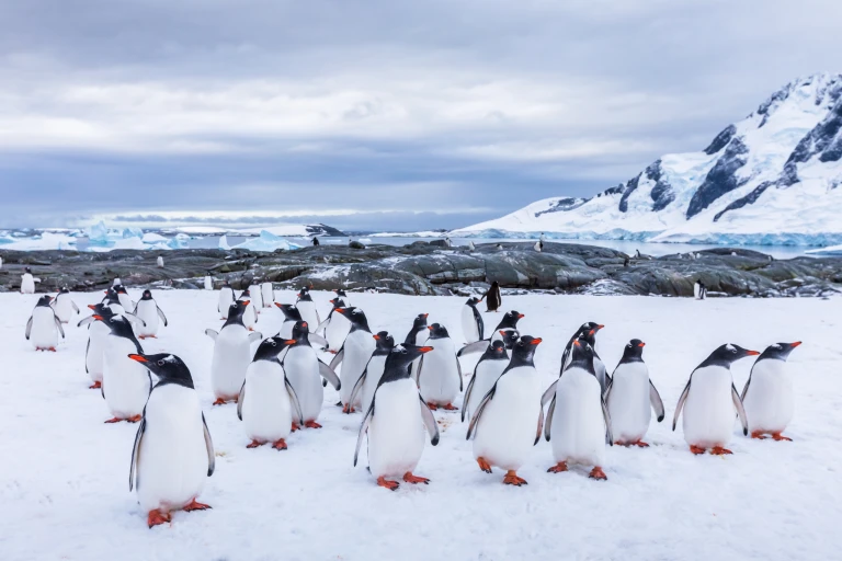 Shutterstock 1416843179 scaled
