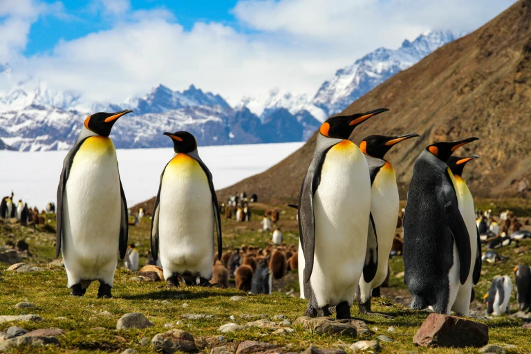 Shutterstock 571849534 scaled