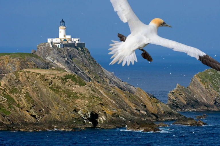 Muckle flugga leuchtturm hermaness national nature reserve shutterstock scaled