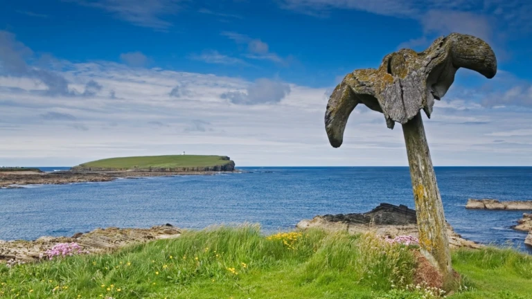 Walknochen in birsay orkney inseln