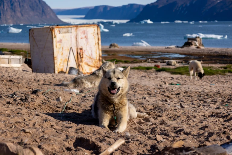 02 siorapaluk ocean albatros 2023 222 1698880780