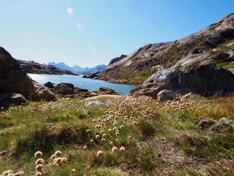 04 09 2025 prins christian sund und aappilattoq img e2607