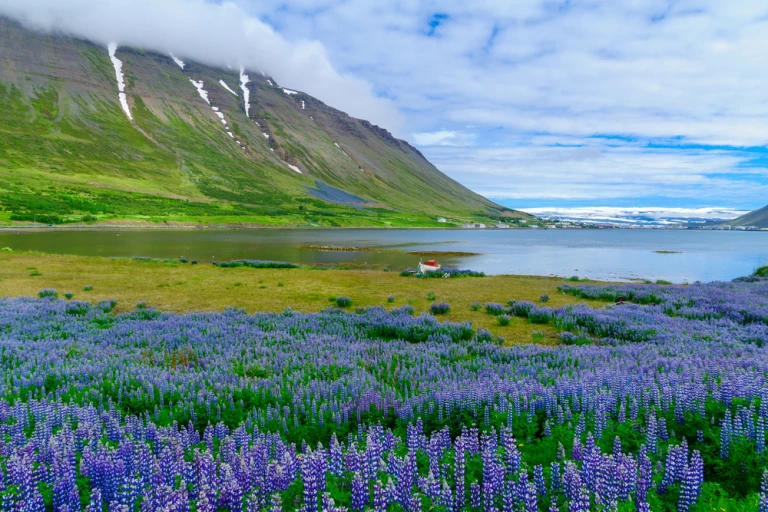 Landschaft und Aussicht auf die Stadt Isafjordur, in der westlichen Fjordregion, Island