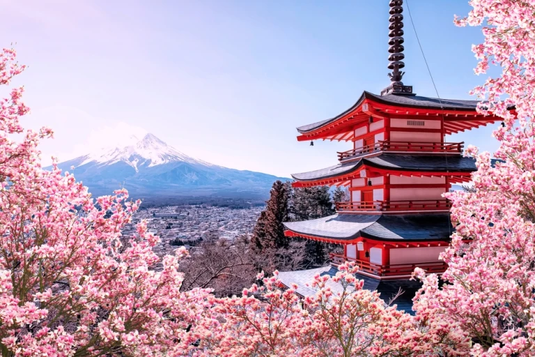 Ein berühmter Platz in Japan mit Chureito Pagoda und dem Fuji im Frühjahr