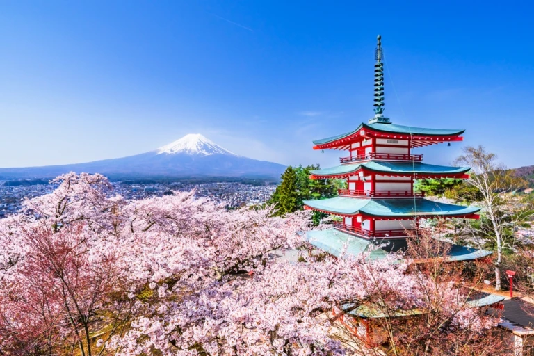 Shinakurayama Asama Park im Frühling. Ein atemberaubender Ausblick vom Aussichtsplatz. Vollblütige Kirschblüten, die Chureito-Pagode und der Fuji. - Yamanashi, Japan