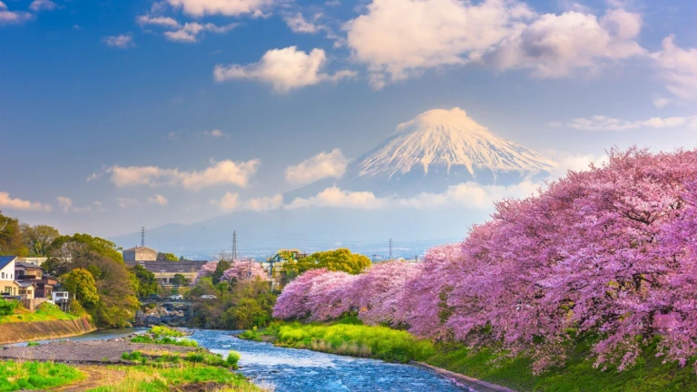 Japan fuji