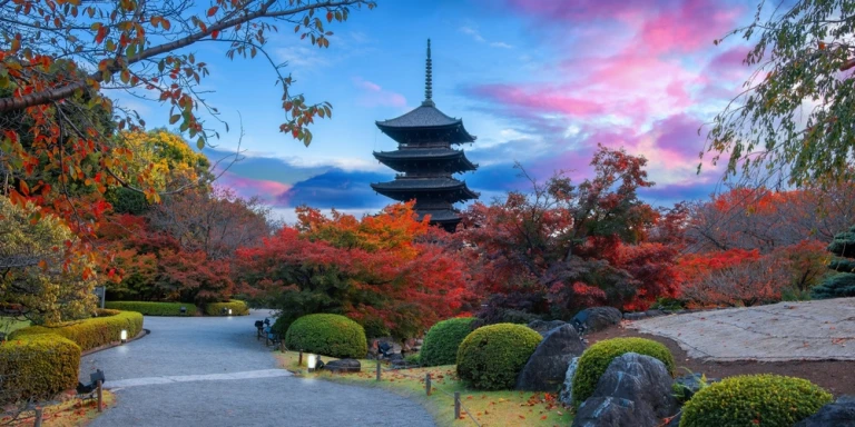 Panoramablick auf den Toji-Tempel in Kyoto, Japan mit wunderschönem Garten und Herbstlaub