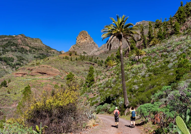 Wanderurlaub auf LA GOMERA, Kanarische Inseln: Wandergruppe auf Wanderung bei Roque Agando - fruchtbares Plateau mit Palmen und Kakteen