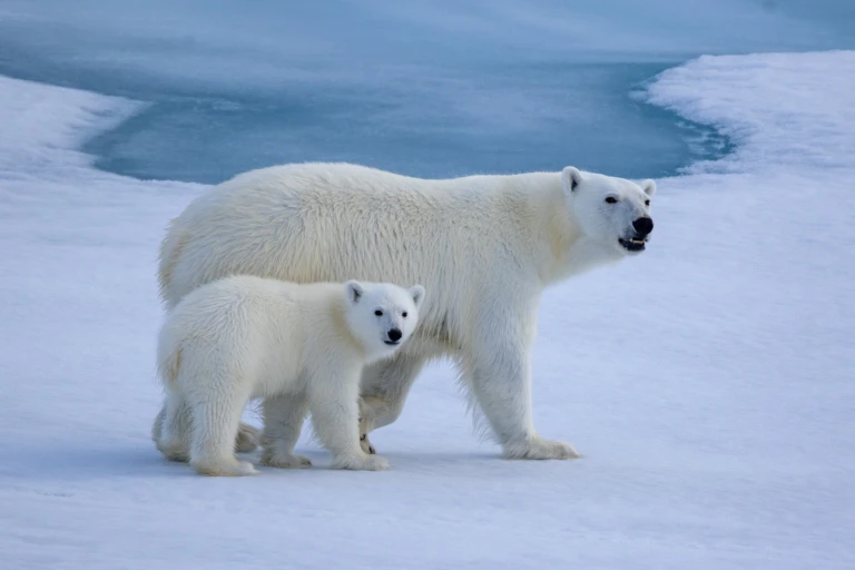 10 08 2025 le commandant charcot 020
