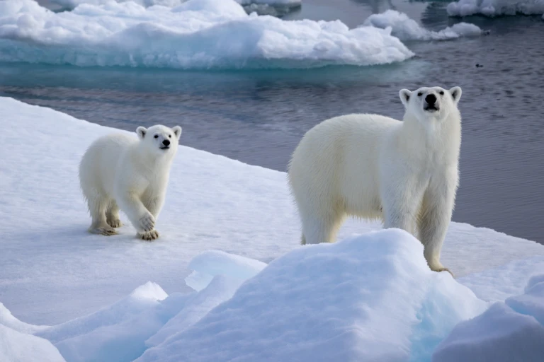 10 08 2025 le commandant charcot 072