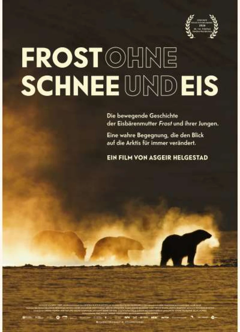 Frost ohne schnee und eis