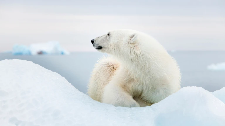 20240222c spitzbergen